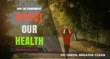 Environmental Impact: How Nature's Health Shapes Our Well-Being and Future