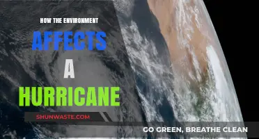 Environmental Factors Shaping Hurricane Intensity and Path: A Comprehensive Analysis