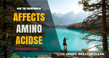 Environmental Factors Shaping Amino Acid Structure and Function: Insights