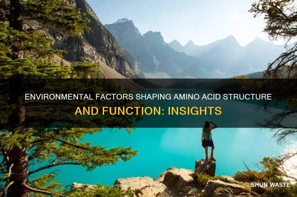 how the environment affects amino acidse