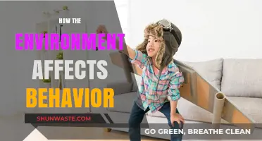 Environmental Influences: Shaping Human Behavior and Daily Decision-Making Patterns