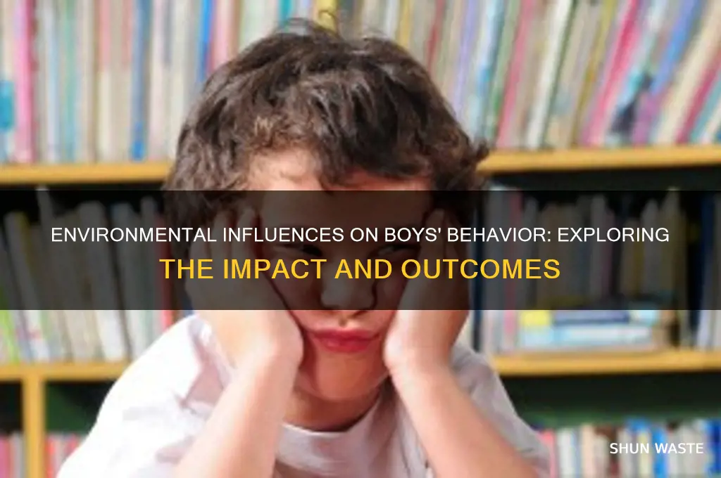 how the environment affects boys behavior essay