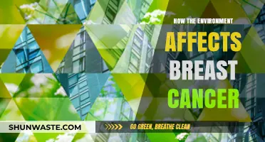 Environmental Factors and Breast Cancer: Uncovering the Hidden Connections