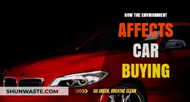 Environmental Impact on Car Purchases: Trends, Choices, and Sustainability