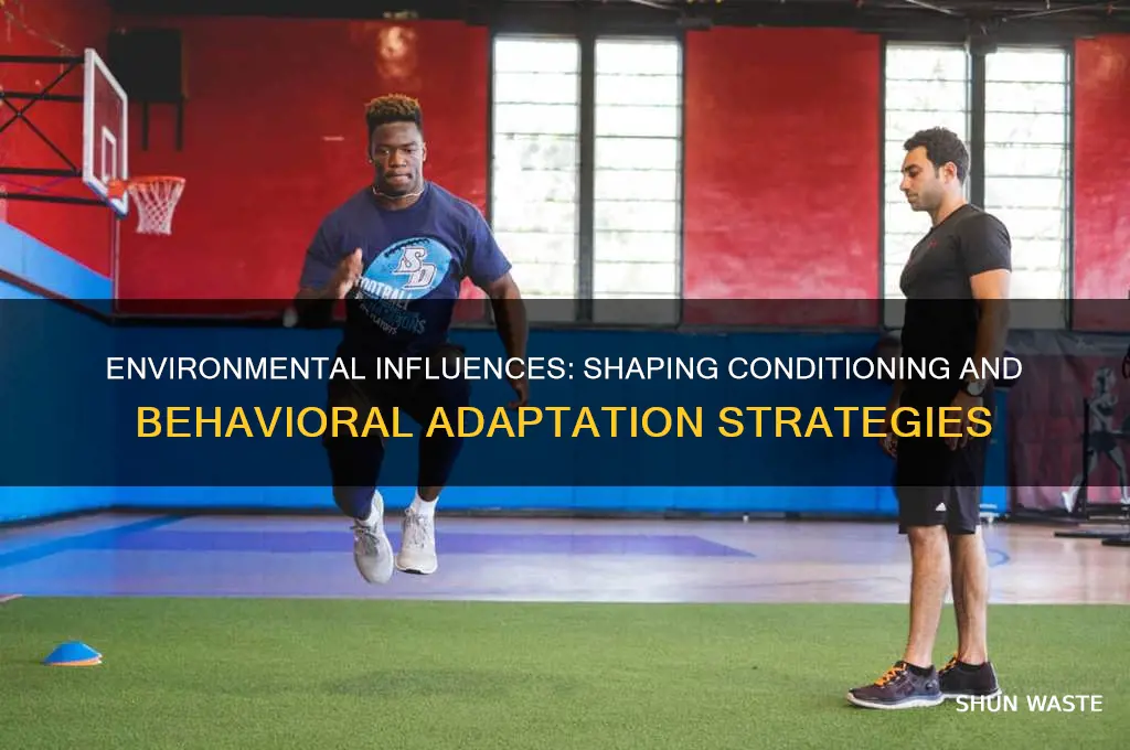how the environment affects conditioning