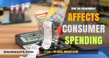 Environmental Factors Shaping Consumer Spending Habits and Market Trends