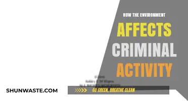 Environmental Factors and Crime: Unraveling the Complex Relationship