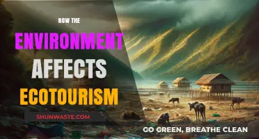 Environmental Impacts on Ecotourism: Balancing Conservation and Sustainable Travel