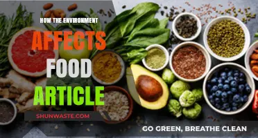 Environmental Impact on Food: Exploring Nature's Influence on Our Plates