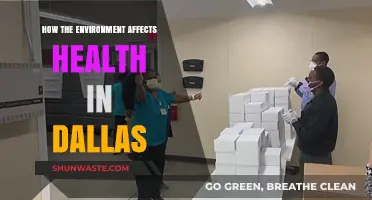 Dallas' Environmental Impact: Uncovering Health Connections in the City