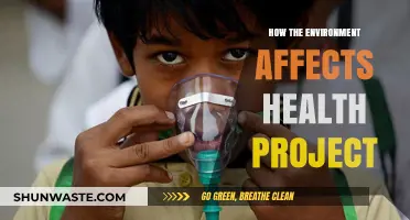 Environmental Impacts on Health: Uncovering the Hidden Connections and Risks