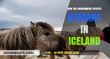 Iceland's Unique Environment: Shaping Human Life and Culture in the North