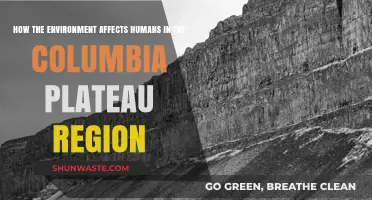 Columbia Plateau's Environment: Shaping Human Life and Health Dynamics