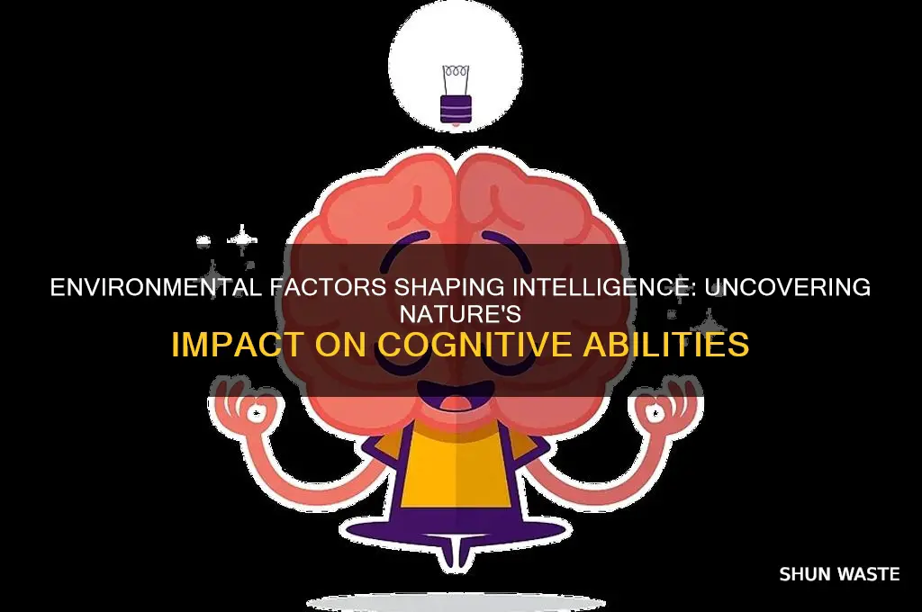 how the environment affects intelligence