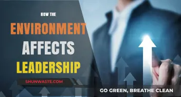 Environmental Influences: Shaping Leadership Styles and Decision-Making Processes