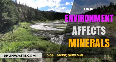 Environmental Factors Shaping Mineral Formation and Distribution: A Comprehensive Guide