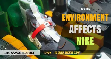 Environmental Impact on Nike: Sustainability Challenges and Opportunities