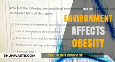 Environmental Factors and Their Impact on Rising Obesity Rates