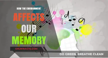 Environmental Influences: Unraveling Nature's Impact on Human Memory Retention