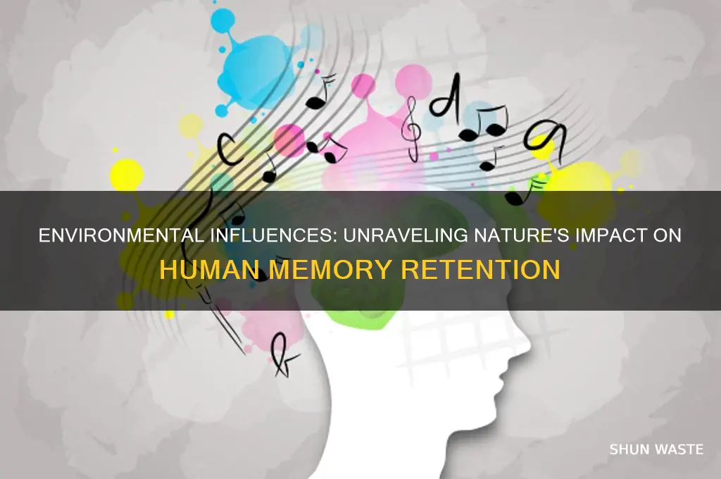 how the environment affects our memory