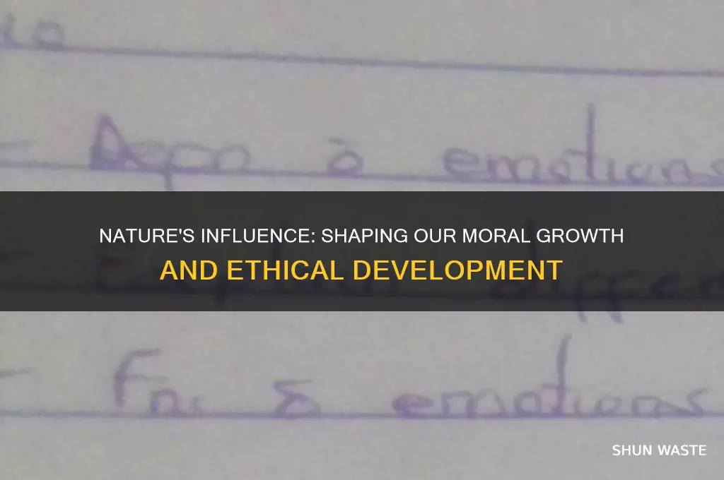 how the environment affects our moral groth