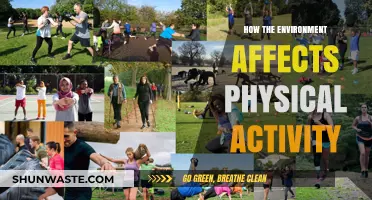 Environmental Impact: Shaping Physical Activity Levels and Healthy Lifestyles