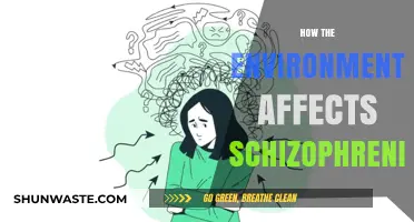 Environmental Factors and Schizophrenia: Unraveling the Complex Relationship