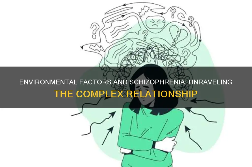 how the environment affects schizophrenia