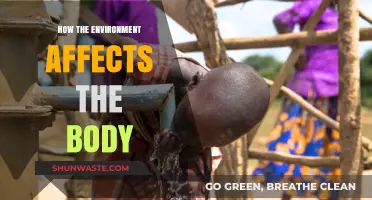 Environmental Impact: How Surroundings Shape Our Physical and Mental Health