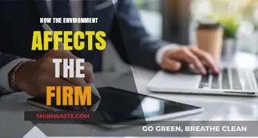 Environmental Impact on Business: Shaping Firm Strategies and Outcomes