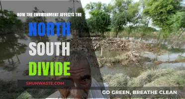Environmental Impacts on the North-South Divide: A Global Perspective