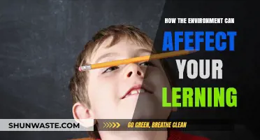 How Your Environment Shapes Learning: Tips for Optimal Focus