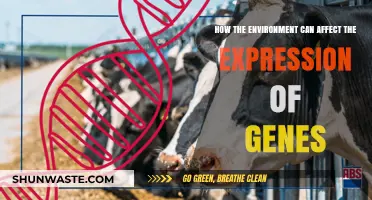 Environmental Influences on Gene Expression: Unlocking Nature's Impact on Our DNA