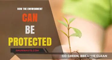 Sustainable Practices: Protecting Our Environment for a Greener Future