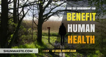 Nature's Healing Power: How the Environment Boosts Human Health