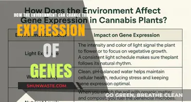 Environmental Triggers: Unlocking Gene Expression Changes and Their Impact