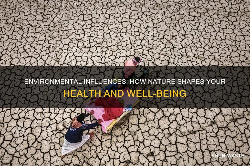 how the environment can impact you