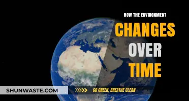 Earth's Evolution: Unveiling the Dynamic Shifts in Our Environment
