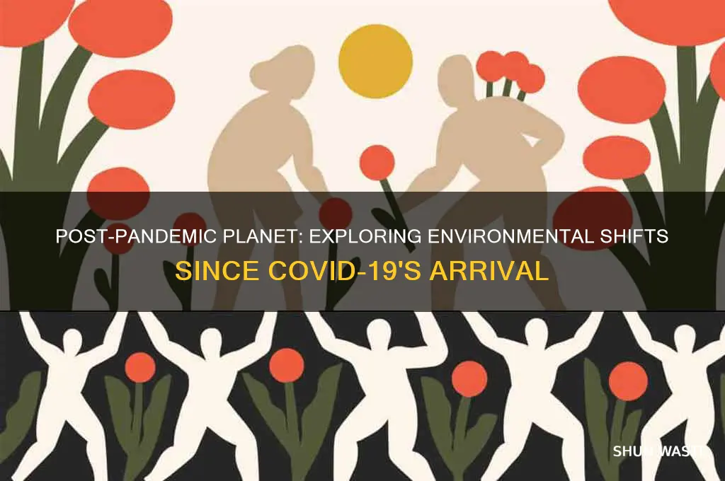 how the environment has changed since corona
