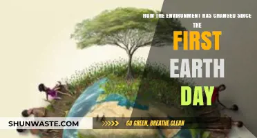 Earth's Evolution: Reflecting on Environmental Changes Since the First Earth Day
