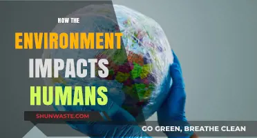 Environmental Influence: How Nature Shapes Human Health and Well-being
