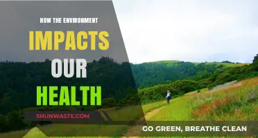 Environmental Health Connections: How Nature Influences Our Well-Being