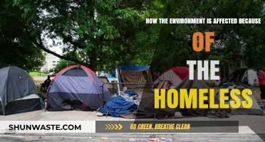 Homelessness' Environmental Impact: Unseen Consequences of a Growing Crisis