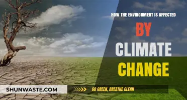 Climate Change Impacts: Understanding Environmental Shifts and Consequences