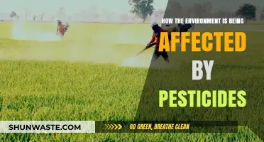 Pesticides' Silent Impact: Uncovering Environmental Consequences and Urgent Solutions