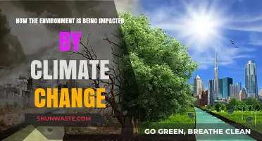 Climate Change's Devastating Effects: How Our Environment is Transforming Rapidly