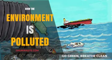 The Earth Suffocates: Pollution's Deadly Grip