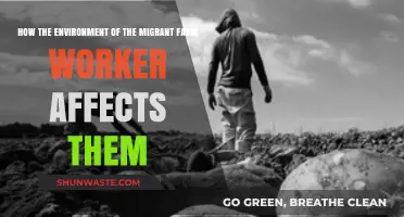 Migrant Farm Workers' Environment: Impacts on Health, Livelihood, and Well-being
