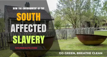 Southern Landscapes: How the Environment Shaped Slavery's Brutal Legacy