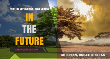 Future Environmental Shifts: Predicting Climate, Ecosystems, and Human Impact